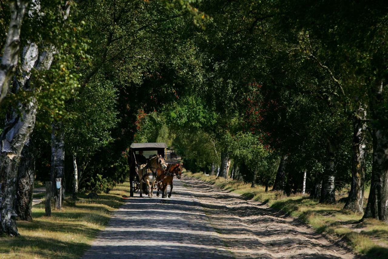 Garbers-Hof Lägenhet Undeloh Exteriör bild