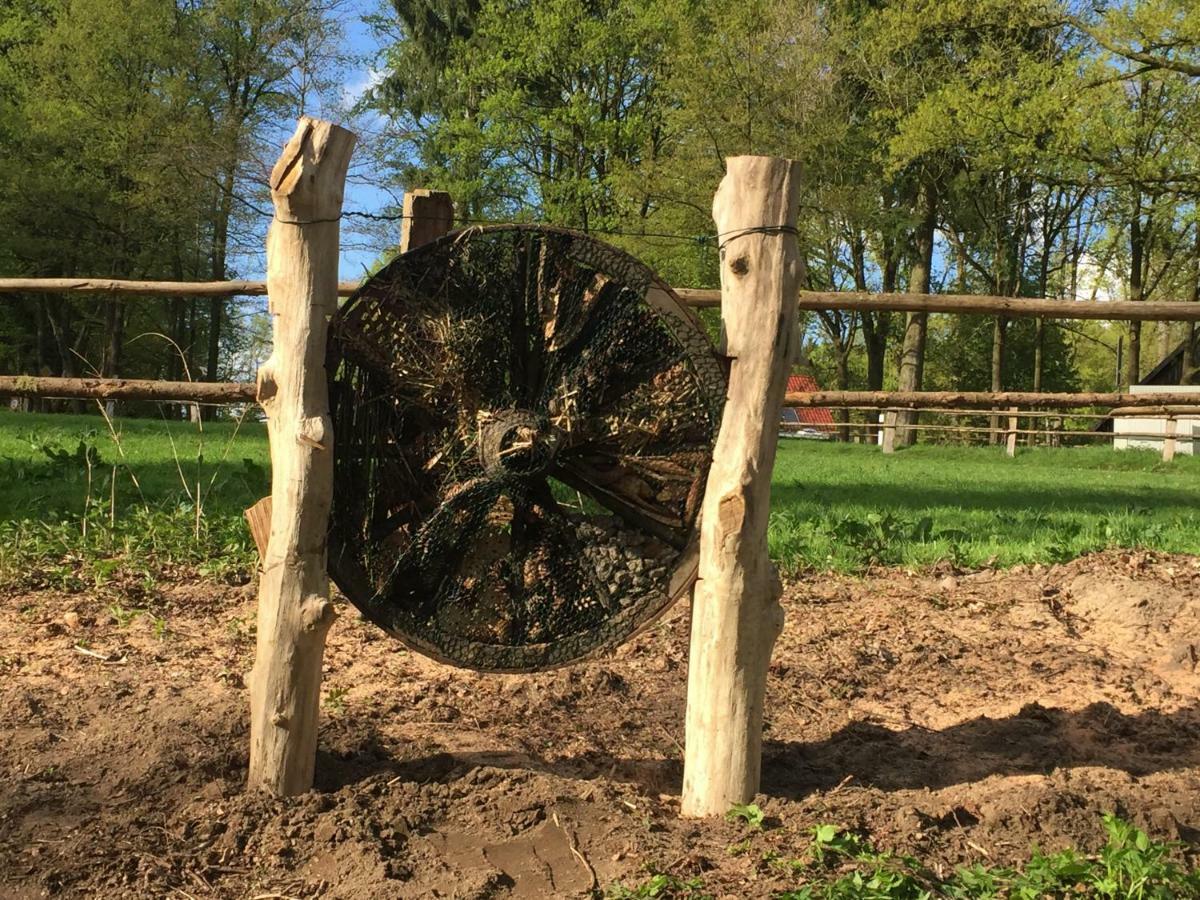 Garbers-Hof Lägenhet Undeloh Exteriör bild