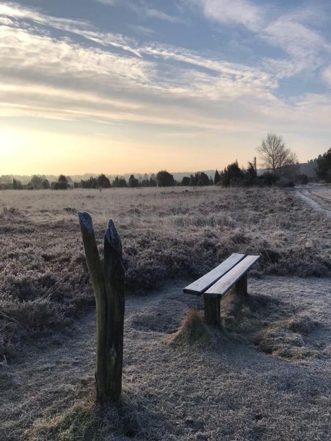Garbers-Hof Lägenhet Undeloh Exteriör bild